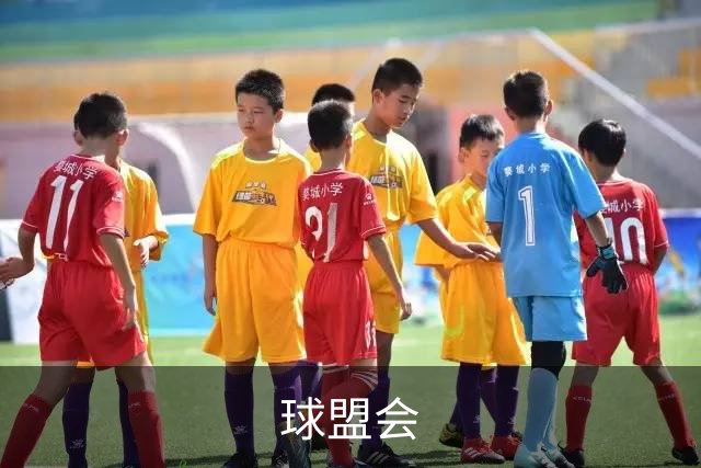 球盟会公司简介图片